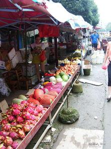 永福县新闻爆料网址,最新动态一网打尽  第1张